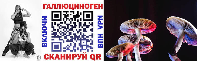 Псилоцибиновые грибы прущие грибы  Старая Русса 
